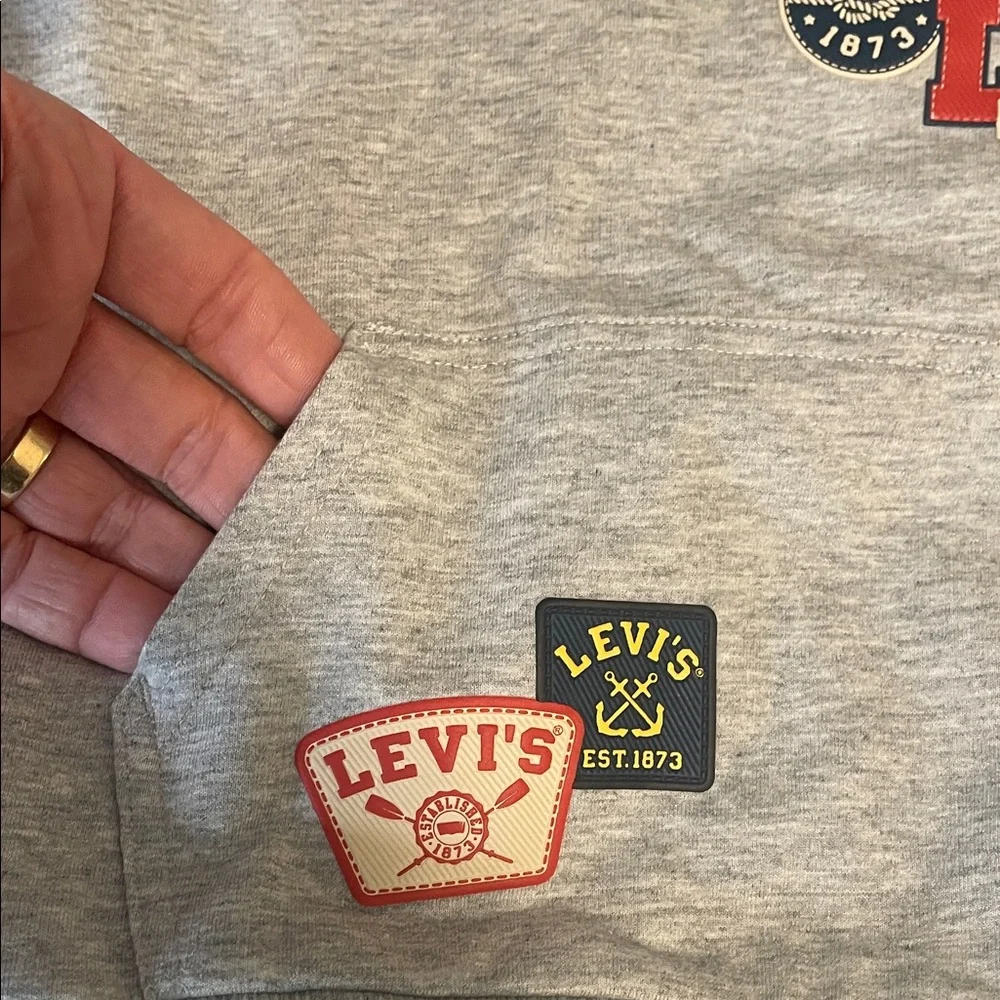 Levi's Heather Gray Logo Tee and Shorts Set nwt 3T